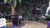Niki's Party Place - Photo Gallery